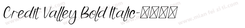Credit Valley Bold Italic字体转换